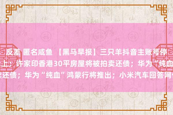 反差 匿名咸鱼 【黑马早报】三只羊抖音主账号停播！日销售额骤降九成以上；许家印香港30平房屋将被拍卖还债；华为“纯血”鸿蒙行将推出；小米汽车回答网传事故...