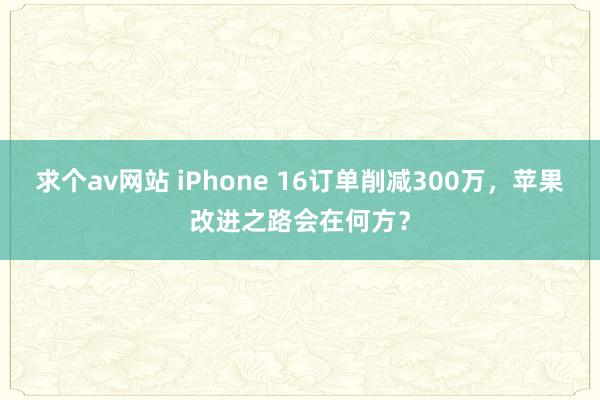 求个av网站 iPhone 16订单削减300万，苹果改进之路会在何方？