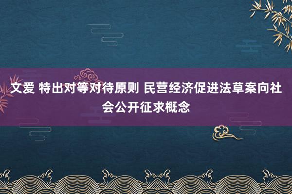 文爱 特出对等对待原则 民营经济促进法草案向社会公开征求概念