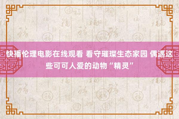 快播伦理电影在线观看 看守璀璨生态家园 偶遇这些可可人爱的动物“精灵”