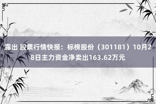 露出 股票行情快报：标榜股份（301181）10月28日主力资金净卖出163.62万元