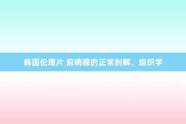 韩国伦理片 前哨腺的正常剖解、组织学