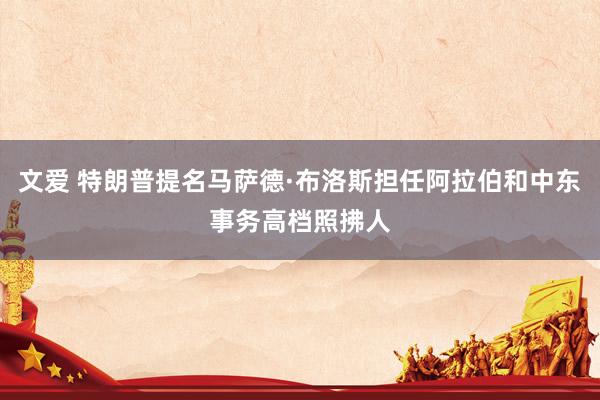 文爱 特朗普提名马萨德·布洛斯担任阿拉伯和中东事务高档照拂人