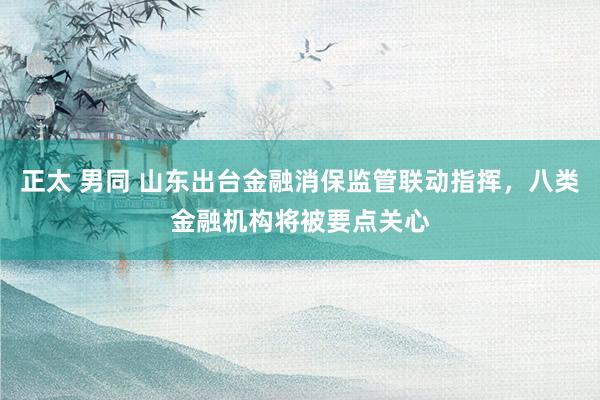 正太 男同 山东出台金融消保监管联动指挥，八类金融机构将被要点关心