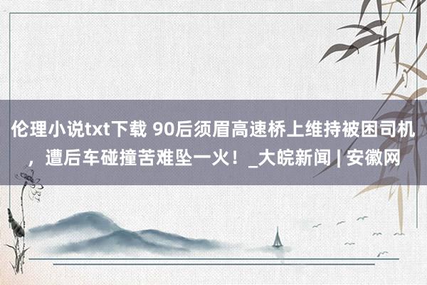 伦理小说txt下载 90后须眉高速桥上维持被困司机，遭后车碰撞苦难坠一火！_大皖新闻 | 安徽网