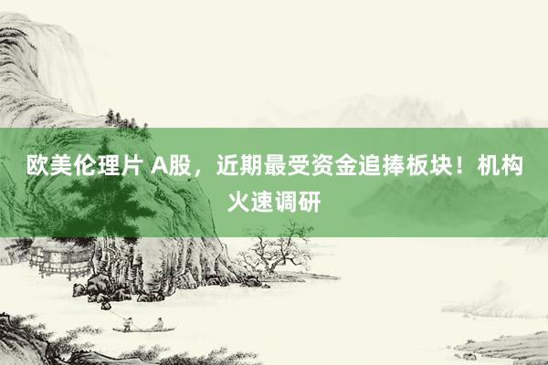 欧美伦理片 A股，近期最受资金追捧板块！机构火速调研