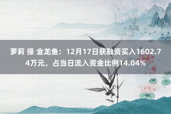 萝莉 操 金龙鱼：12月17日获融资买入1602.74万元，占当日流入资金比例14.04%