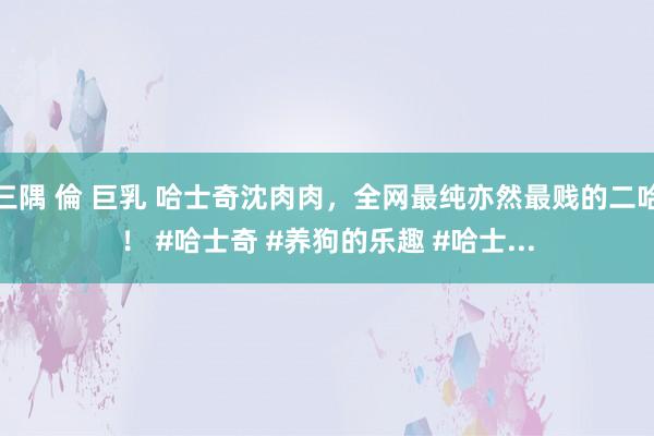 三隅 倫 巨乳 哈士奇沈肉肉，全网最纯亦然最贱的二哈！ #哈士奇 #养狗的乐趣 #哈士...