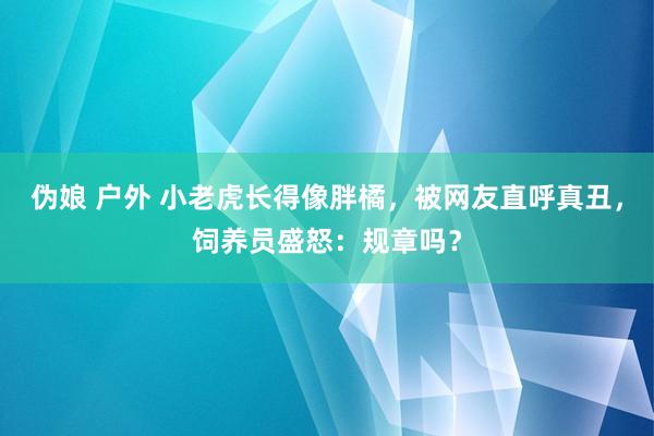 伪娘 户外 小老虎长得像胖橘，被网友直呼真丑，饲养员盛怒：规章吗？