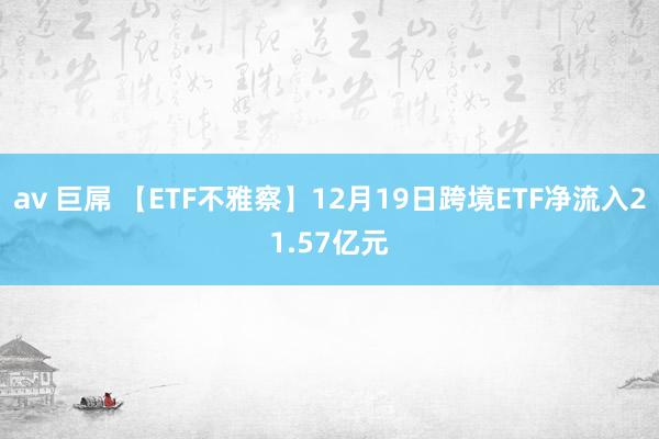 av 巨屌 【ETF不雅察】12月19日跨境ETF净流入21.57亿元