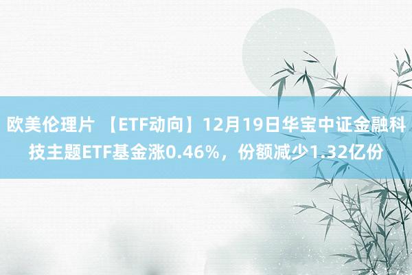 欧美伦理片 【ETF动向】12月19日华宝中证金融科技主题ETF基金涨0.46%，份额减少1.32亿份