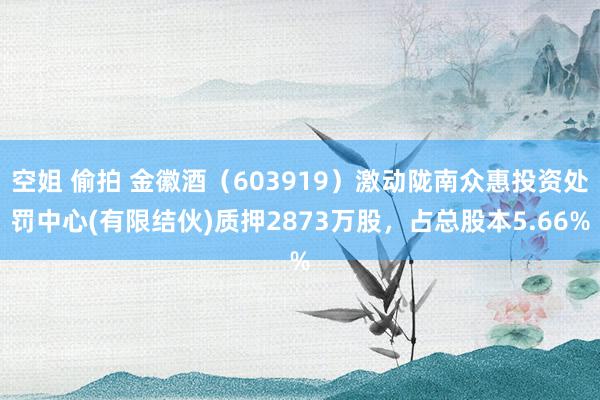 空姐 偷拍 金徽酒（603919）激动陇南众惠投资处罚中心(有限结伙)质押2873万股，占总股本5.66%