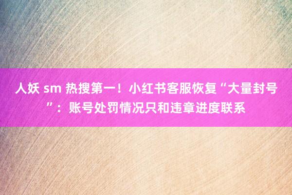 人妖 sm 热搜第一！小红书客服恢复“大量封号”：账号处罚情况只和违章进度联系