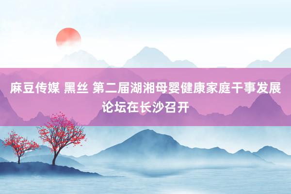 麻豆传媒 黑丝 第二届湖湘母婴健康家庭干事发展论坛在长沙召开