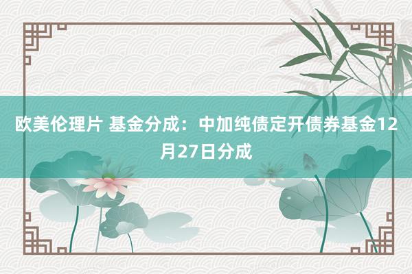 欧美伦理片 基金分成：中加纯债定开债券基金12月27日分成
