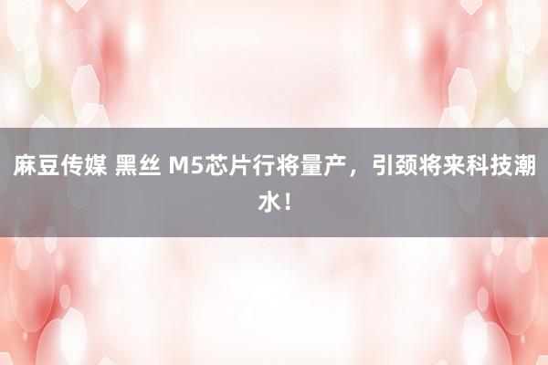 麻豆传媒 黑丝 M5芯片行将量产，引颈将来科技潮水！