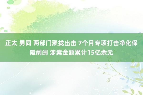 正太 男同 两部门聚拢出击 7个月专项打击净化保障阛阓 涉案金额累计15亿余元