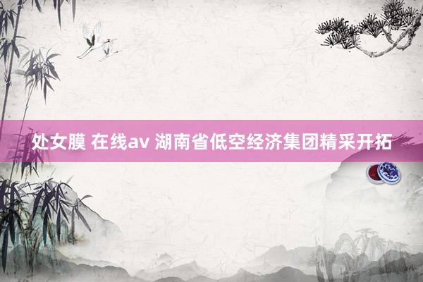 处女膜 在线av 湖南省低空经济集团精采开拓