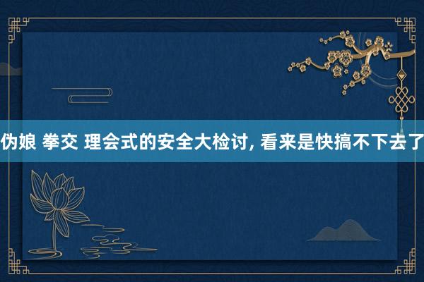 伪娘 拳交 理会式的安全大检讨, 看来是快搞不下去了