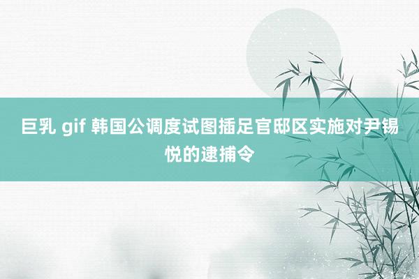 巨乳 gif 韩国公调度试图插足官邸区实施对尹锡悦的逮捕令