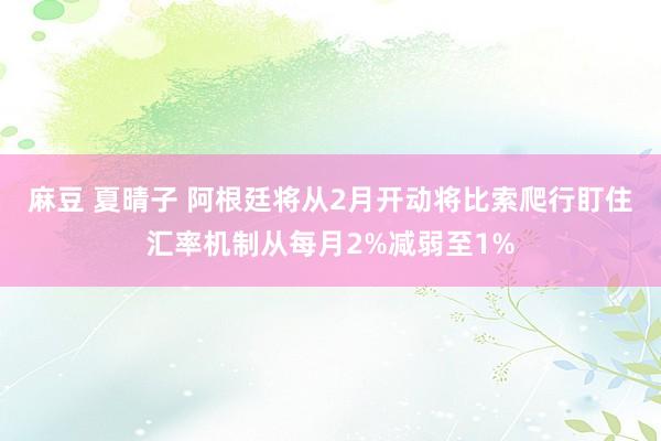 麻豆 夏晴子 阿根廷将从2月开动将比索爬行盯住汇率机制从每月2%减弱至1%