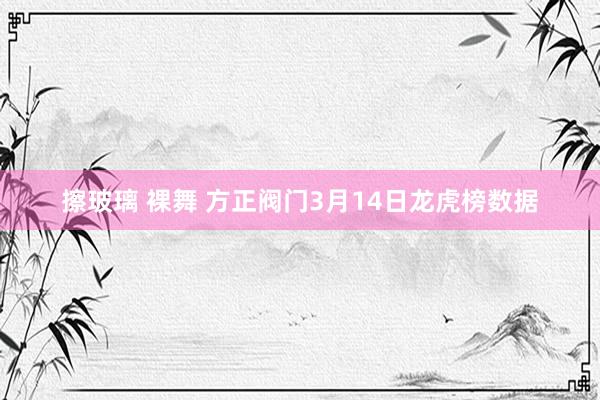 擦玻璃 裸舞 方正阀门3月14日龙虎榜数据