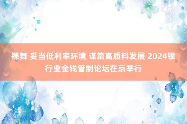 裸舞 妥当低利率环境 谋篇高质料发展 2024银行业金钱管制论坛在京举行