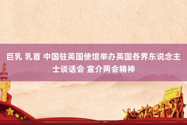 巨乳 乳首 中国驻英国使馆举办英国各界东说念主士谈话会 宣介两会精神