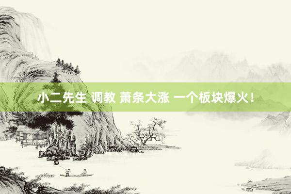 小二先生 调教 萧条大涨 一个板块爆火！