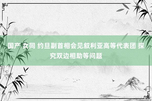 国产 女同 约旦副首相会见叙利亚高等代表团 探究双边相助等问题