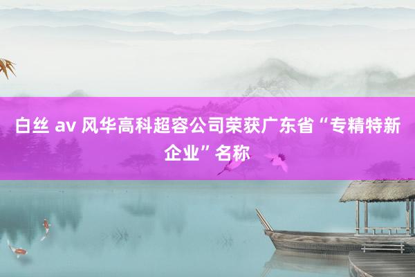 白丝 av 风华高科超容公司荣获广东省“专精特新企业”名称