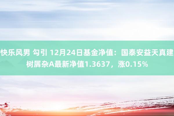 快乐风男 勾引 12月24日基金净值：国泰安益天真建树羼杂A最新净值1.3637，涨0.15%