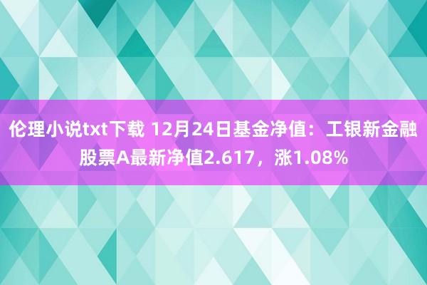 伦理小说txt下载 12月24日基金净值：工银新金融股票A最新净值2.617，涨1.08%