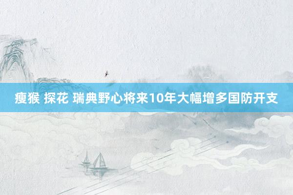 瘦猴 探花 瑞典野心将来10年大幅增多国防开支