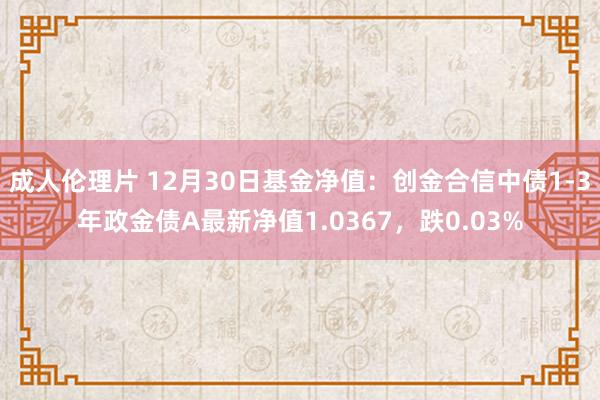 成人伦理片 12月30日基金净值：创金合信中债1-3年政金债A最新净值1.0367，跌0.03%