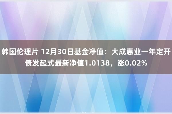韩国伦理片 12月30日基金净值：大成惠业一年定开债发起式最新净值1.0138，涨0.02%