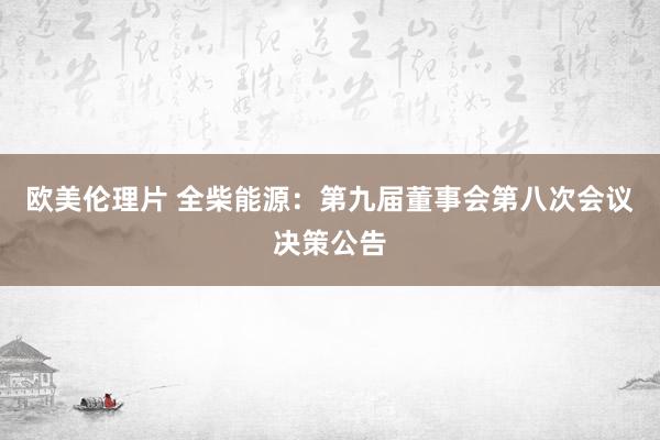 欧美伦理片 全柴能源：第九届董事会第八次会议决策公告