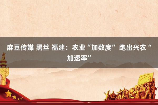 麻豆传媒 黑丝 福建：农业“加数度” 跑出兴农“加速率”