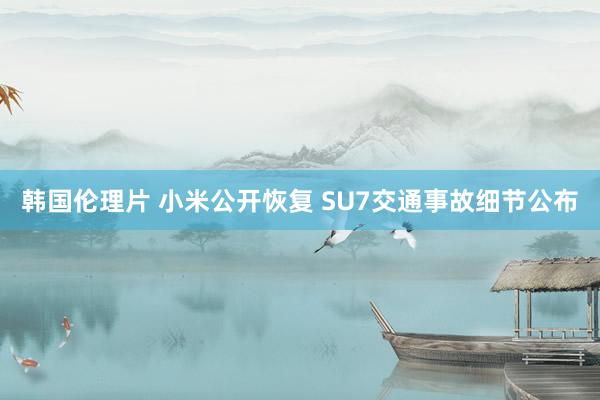 韩国伦理片 小米公开恢复 SU7交通事故细节公布