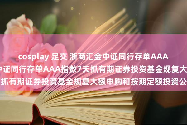 cosplay 足交 浙商汇金中证同行存单AAA指数7天抓有: 浙商汇金中证同行存单AAA指数7天抓有期证券投资基金规复大额申购和按期定额投资公告