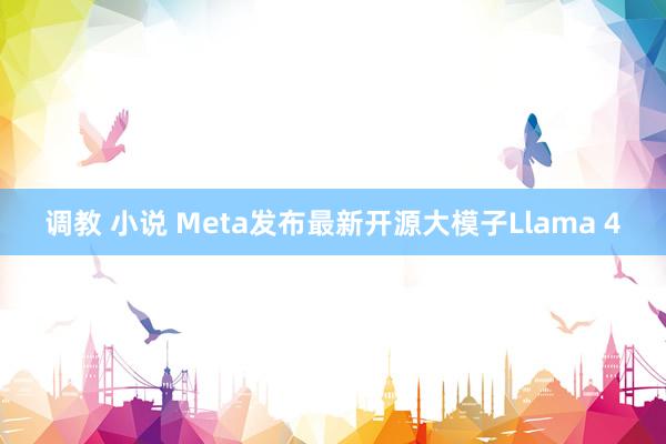 调教 小说 Meta发布最新开源大模子Llama 4
