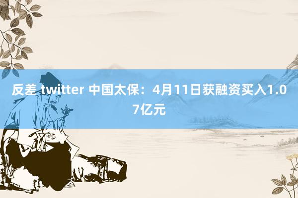 反差 twitter 中国太保：4月11日获融资买入1.07亿元