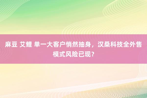麻豆 艾鲤 单一大客户悄然抽身，汉桑科技全外售模式风险已现？