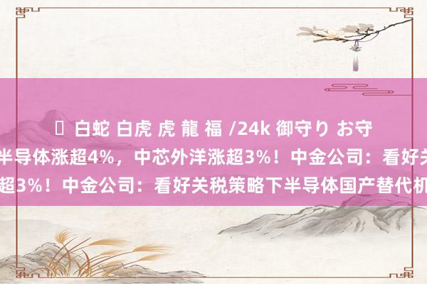 ✨白蛇 白虎 虎 龍 福 /24k 御守り お守り 港股半导体活跃，华虹半导体涨超4%，中芯外洋涨超3%！中金公司：看好关税策略下半导体国产替代机遇